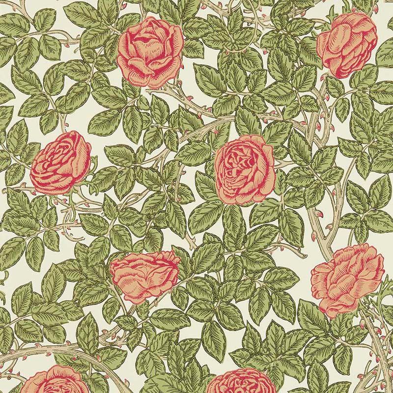 Rambling Rose 217207【壁紙】 – MORRISWORLD.jp