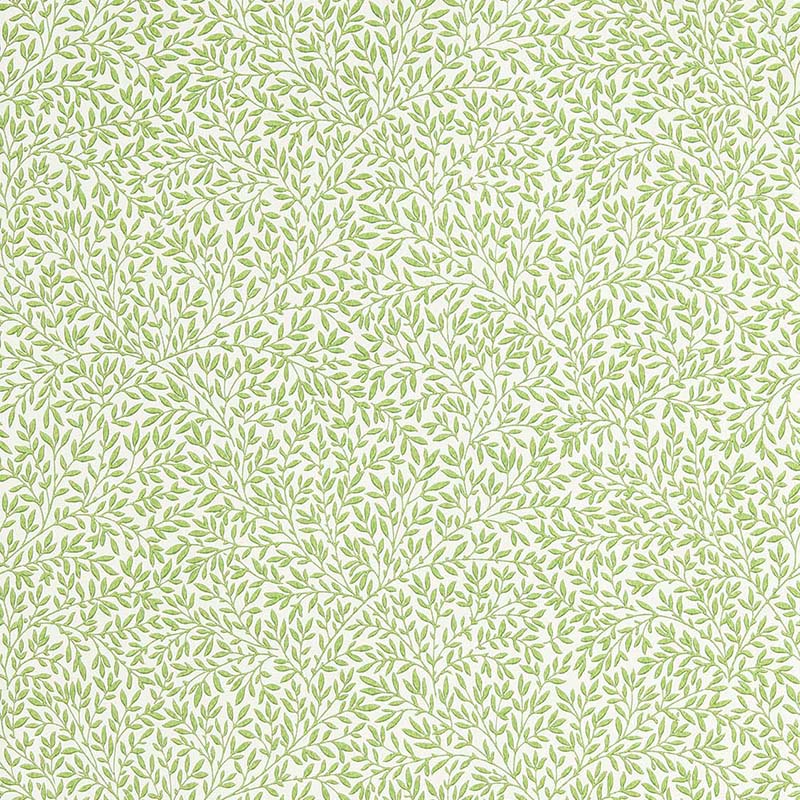 りらん。 Standen 217066【壁紙】 – MORRISWORLD.jp