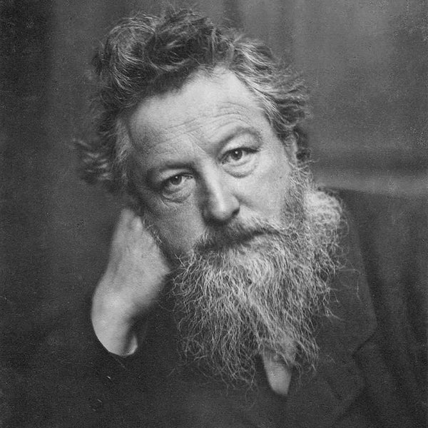 DESIGNED BY WILLAM MORRIS | MORRISWORLD（モリスワールド