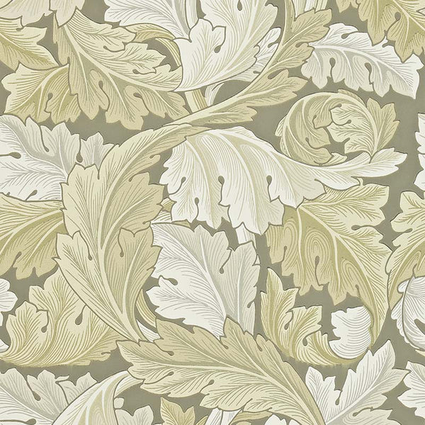 Acanthus 212554【壁紙】 – MORRISWORLD.jp