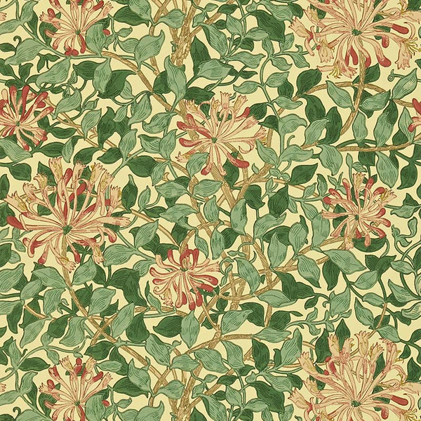 Honeysuckle WM7611-4【壁紙】 – MORRISWORLD.jp