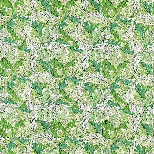 Acanthus 212554【壁紙】 – MORRISWORLD.jp