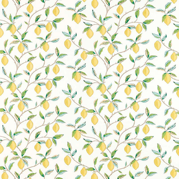 Lemon Tree 216672【壁紙】 – MORRISWORLD.jp